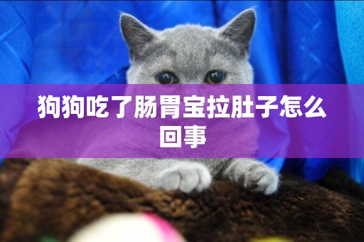 狗狗吃了腸胃寶拉肚子怎么回事
