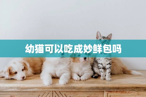 幼貓可以吃成妙鮮包嗎