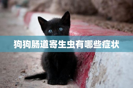 狗狗腸道寄生蟲有哪些癥狀