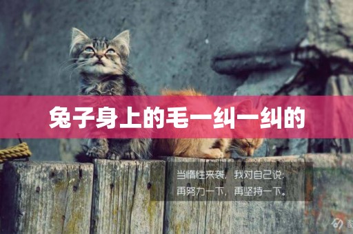 兔子身上的毛一糾一糾的