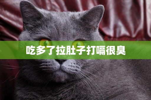吃多了拉肚子打嗝很臭
