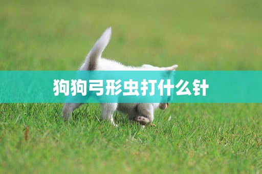狗狗弓形蟲打什么針