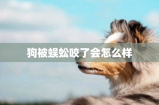 狗被蜈蚣咬了會怎么樣