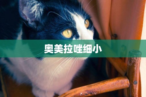 奧美拉唑細小