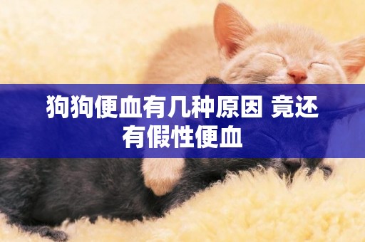 狗狗便血有幾種原因 竟還有假性便血