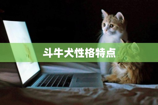 斗牛犬性格特點