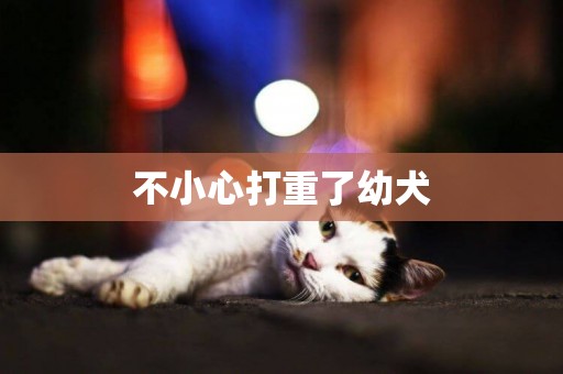 不小心打重了幼犬