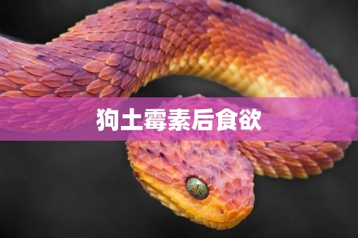 狗土霉素后食欲