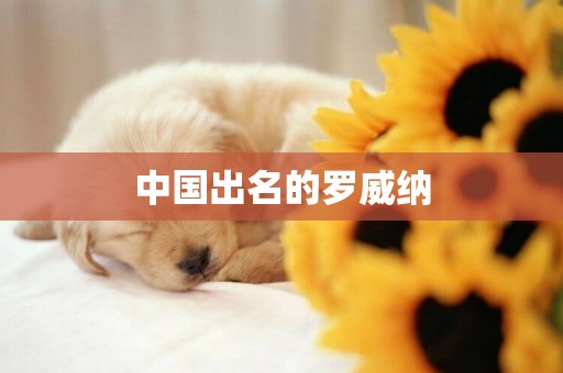 中國出名的羅威納
