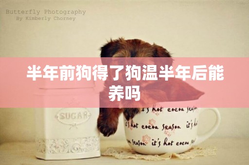 半年前狗得了狗溫半年后能養嗎