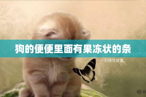 狗的便便里面有果凍狀的條