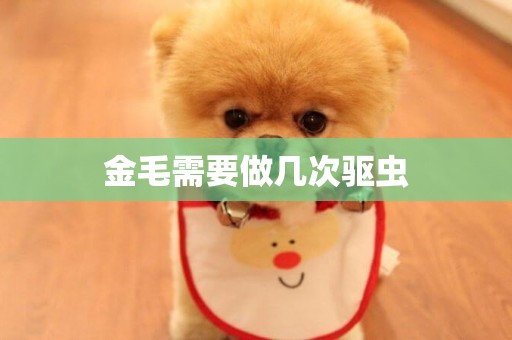 金毛需要做幾次驅蟲