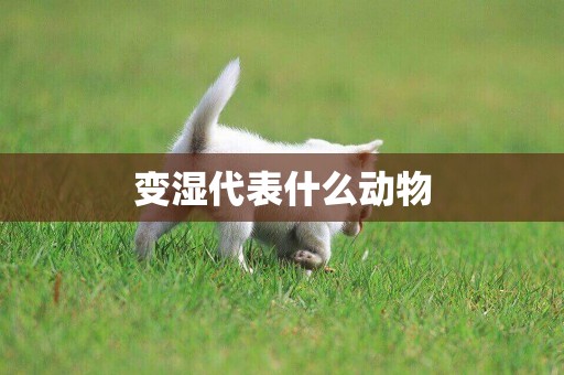 變濕代表什么動物
