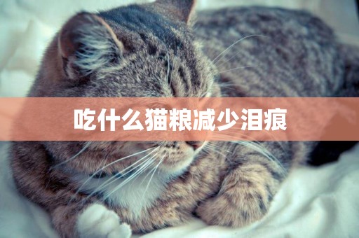 吃什么貓糧減少淚痕