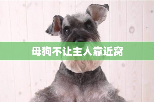 母狗不讓主人靠近窩