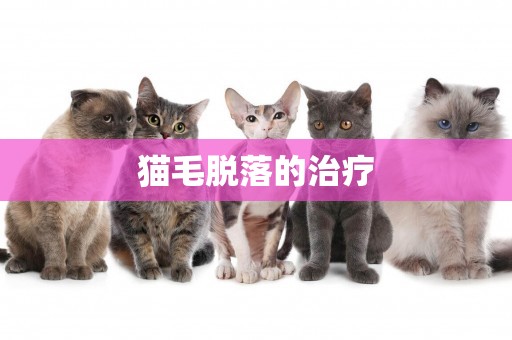 貓毛脫落的治療
