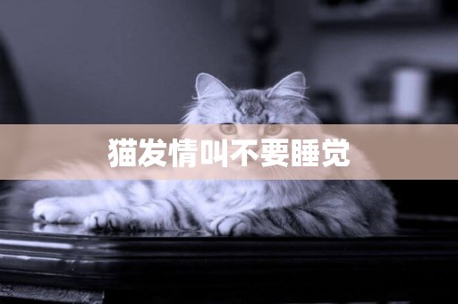 貓發情叫不要睡覺