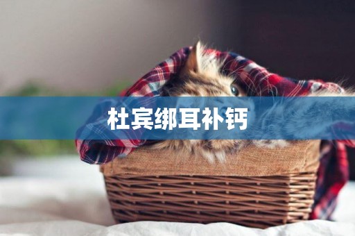 杜賓綁耳補鈣