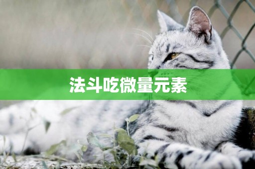法斗吃微量元素