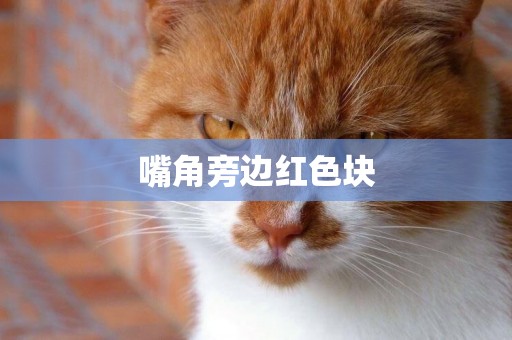 嘴角旁邊紅色塊