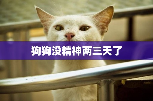 狗狗沒精神兩三天了