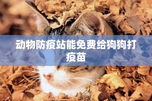 動物防疫站能免費給狗狗打疫苗