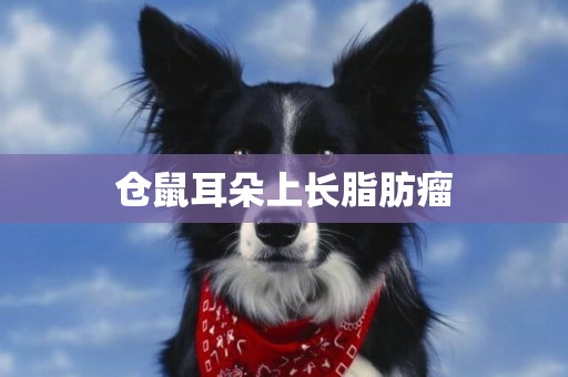 倉鼠耳朵上長脂肪瘤