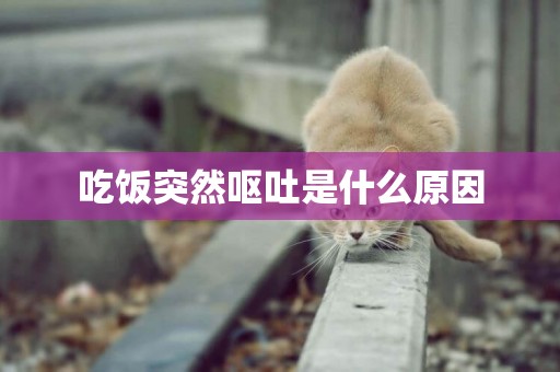 吃飯突然嘔吐是什么原因