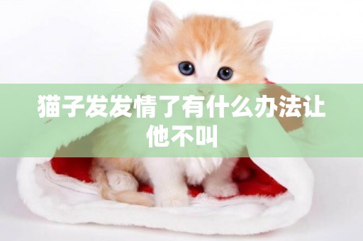 貓子發發情了有什么辦法讓他不叫