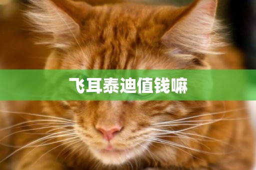 飛耳泰迪值錢嘛