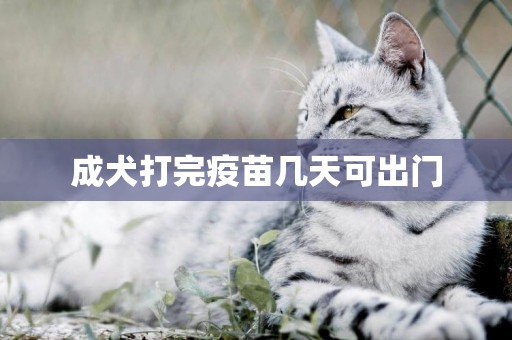 成犬打完疫苗幾天可出門