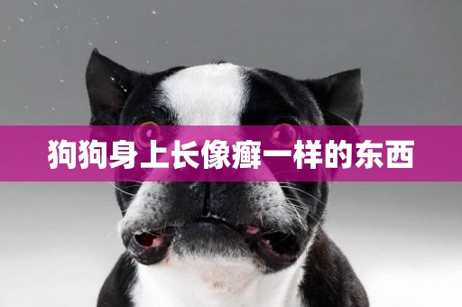 狗狗身上長像癬一樣的東西