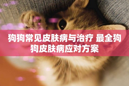 狗狗常見皮膚病與治療 最全狗狗皮膚病應對方案