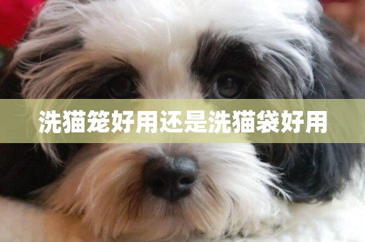 洗貓籠好用還是洗貓袋好用