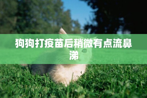 狗狗打疫苗后稍微有點流鼻涕