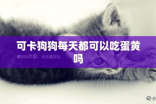 可卡狗狗每天都可以吃蛋黃嗎