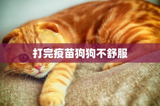 打完疫苗狗狗不舒服