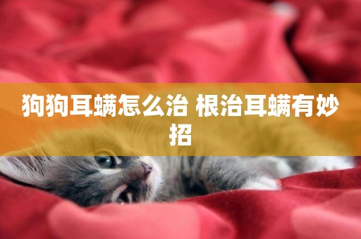 狗狗耳螨怎么治 根治耳螨有妙招