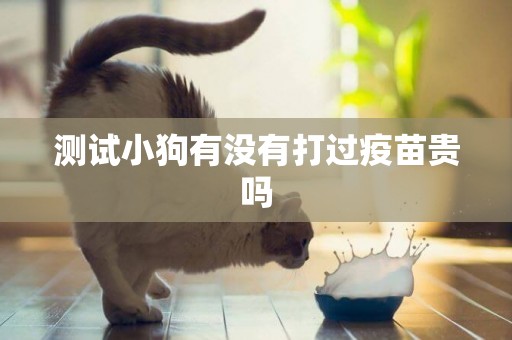 測試小狗有沒有打過疫苗貴嗎