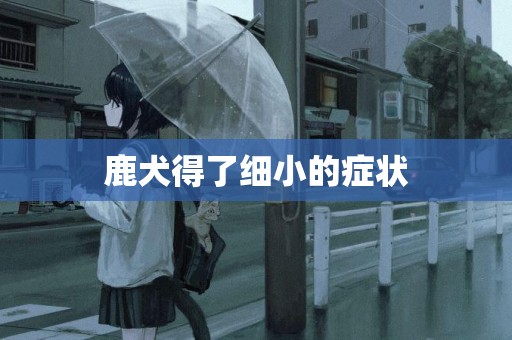 鹿犬得了細小的癥狀