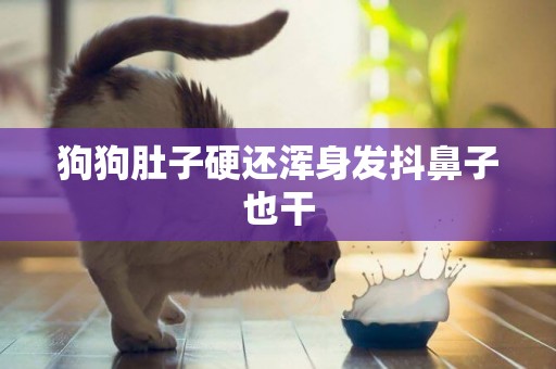 狗狗肚子硬還渾身發抖鼻子也干