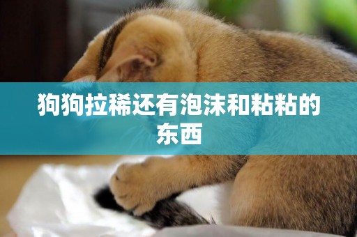 狗狗拉稀還有泡沫和粘粘的東西