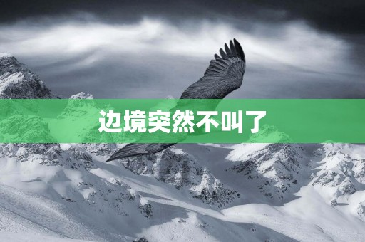 邊境突然不叫了