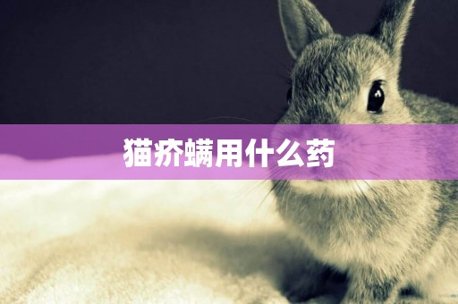 貓疥螨用什么藥