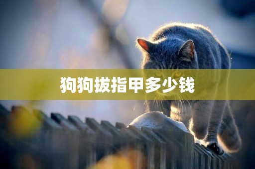 狗狗拔指甲多少錢