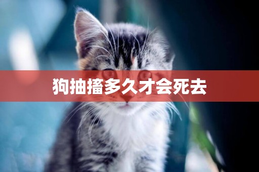狗抽搐多久才會死去
