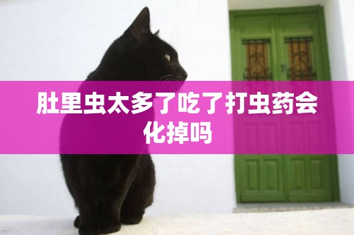肚里蟲太多了吃了打蟲藥會化掉嗎