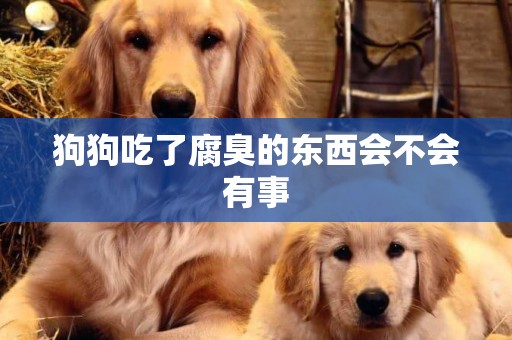 狗狗吃了腐臭的東西會不會有事
