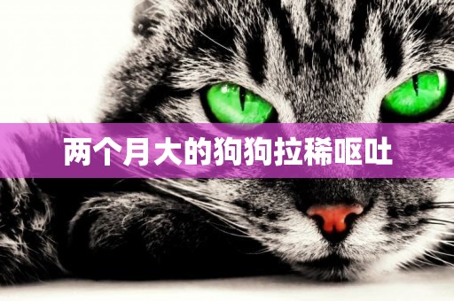 兩個月大的狗狗拉稀嘔吐