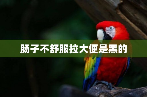 腸子不舒服拉大便是黑的